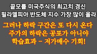 거침없이 상승하는 미국 주식! 역시 세계 1등 주식의 저력을 보여주고 있네.