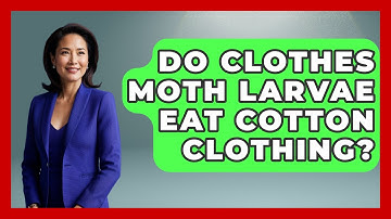 Do Clothes Moth Larvae Eat Cotton Clothing? - Insects and Invaders