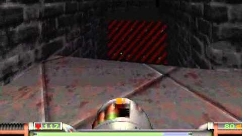 Strife Walkthrough Part 5 (Hunting programmer)