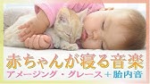 5分で寝るジブリ となりのトトロ 睡眠用音楽 Youtube