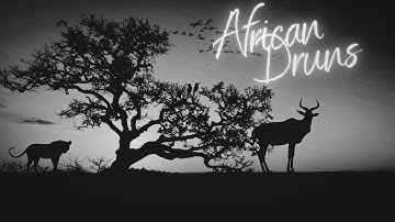 Black Screen - African Drums - Relaxing Tongue Drum Music from Relaxing (instrumental background)