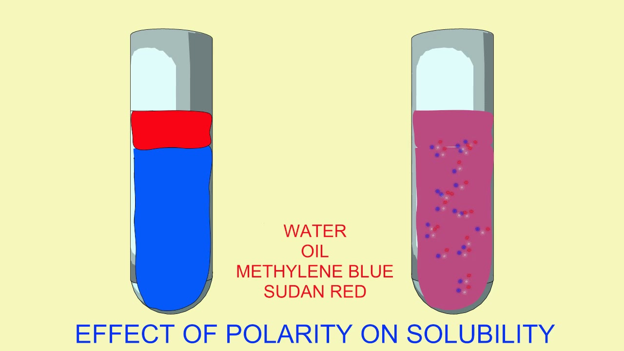 state a hypothesis relating polarities and solubilities of pigments