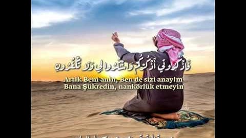 تلاوة من سورة البقرة بصوت الشيخ سهيل الريس ( مترجمة للتركية )