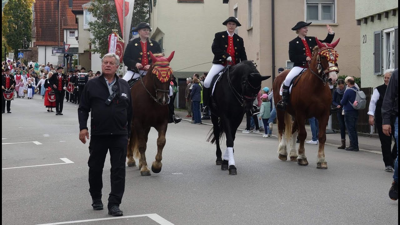 Fellbacher Herbst 2025 Volksfestumzug in voller Länge in 4K mit allen Gruppen