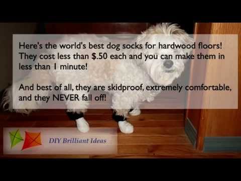 Dog Socks For Hardwood Floors Get Dog Booties Or Shoes For