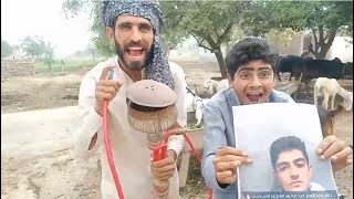 The Handsome Habibis