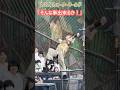 【USJ】ウォーターワールド 「そんな事出来るか！」 #Shorts #ユニバ #ユニバーサルスタジオジャパン