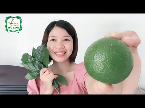 Cách Trị Hôi Miệng Tại Nhà Chưa Tới 10 Nghìn Đồng