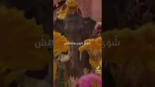 فلم علاء الدين مع صوت صفير البلبل