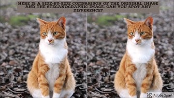 Steganography - How to hide a secret messages, files inside an image?