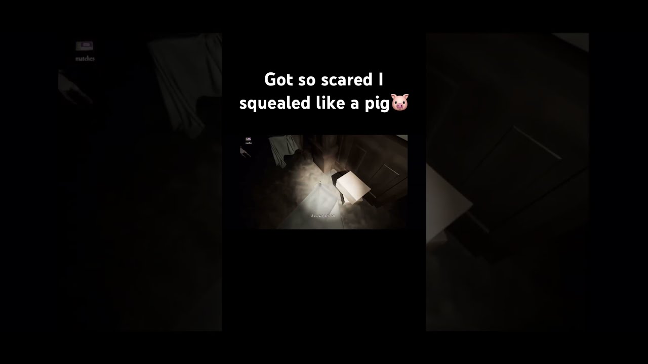 Got So Scared I Squealed Like A Pig Funny Trending Gaming Scary Viralvideo Memes Meme