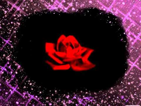 هاني شاكر بكل العمر