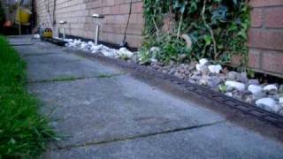 SDC17022.AVI