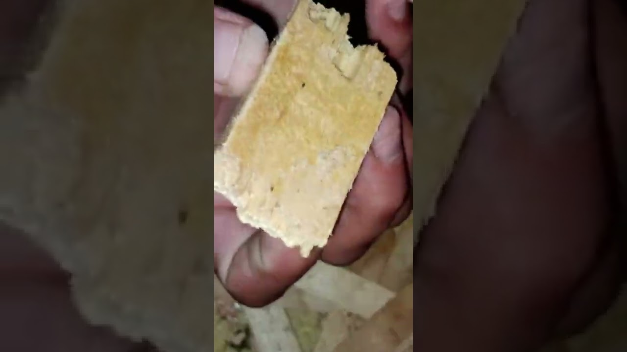 دورة حياة خنفساء السوبر ميل وورم