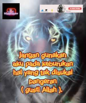 story wa macan putih. pesan ketika malam itu. #shorts