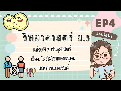 วีดีโอ: ทำไมชิมแปนซีจึงมีโครโมโซม 48 โครโมโซมและมนุษย์ 46