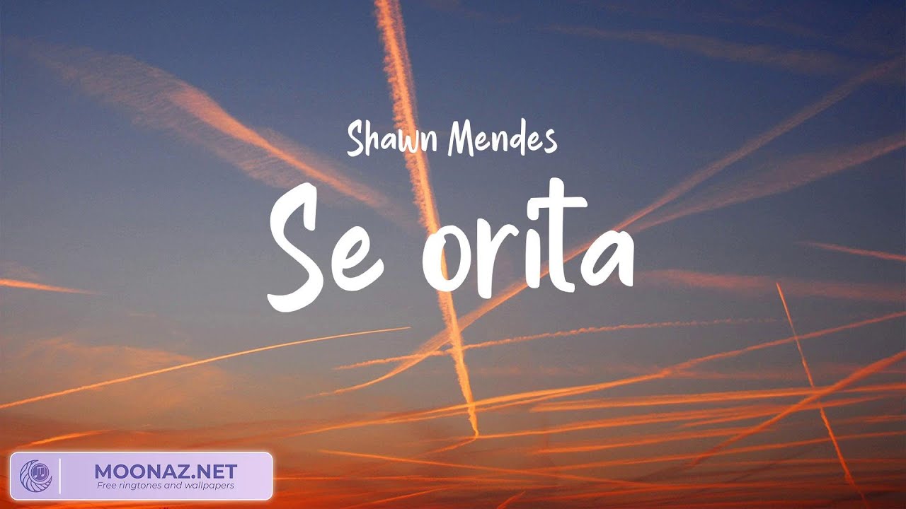 Cover Shawn Mendes - Señorita, Sia - Unstoppable | LyricsZone