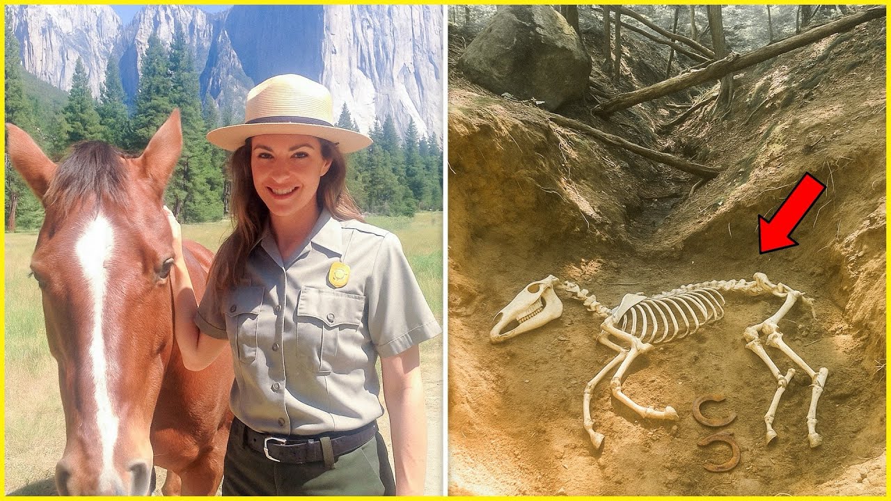 Guarda florestal desapareceu em 2003 — 5 anos depois, encontram os restos do seu cavalo…