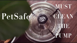 HOW to CLEAN and ASSEMBLE the PetSafe Drinkwell Fountain