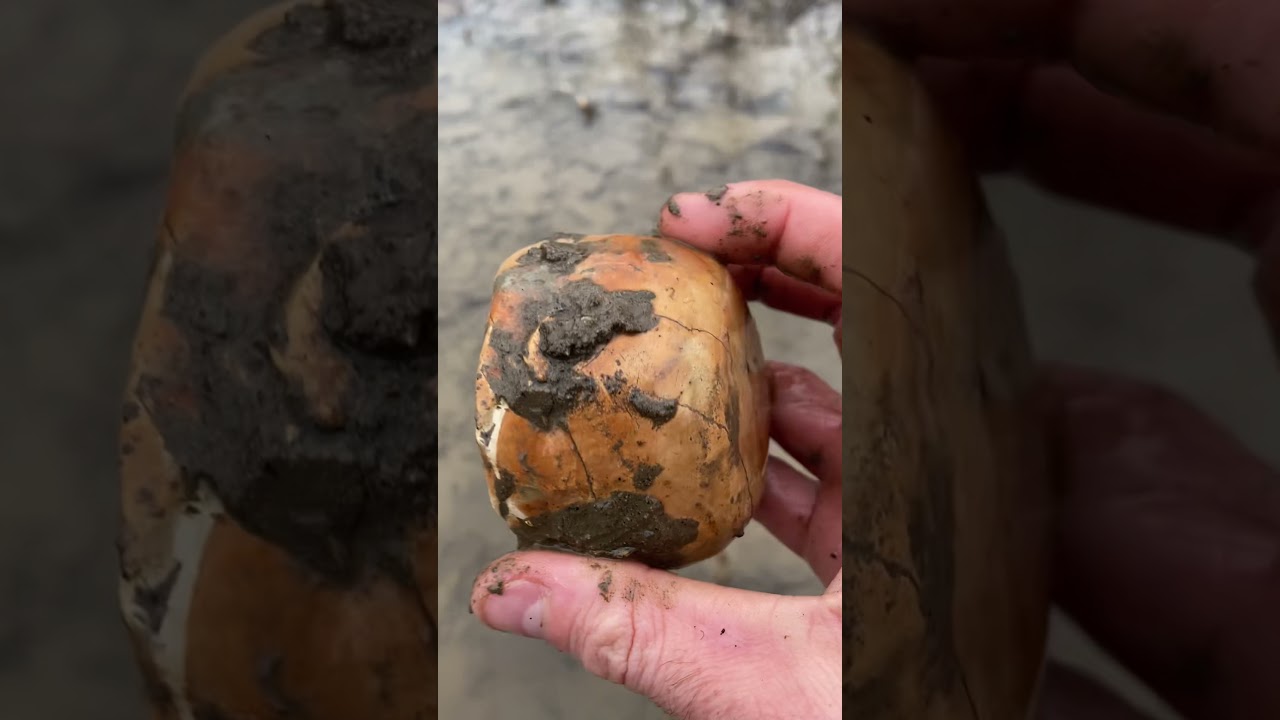 Did I just find a Native American Paint Pot?!