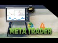 2- REGISTRO Y DESCARGA MT4 # Tutorial METATRADER 4 Guía Completa