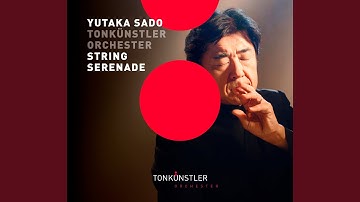 Serenade for Strings in C Major, Op. 48, TH 48: III. Elegie