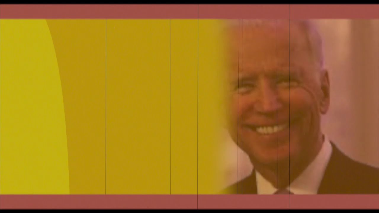 Hunter Biden - sir. Scrub LaRocafort IV esquire