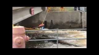 The Raisin River Canoe Race