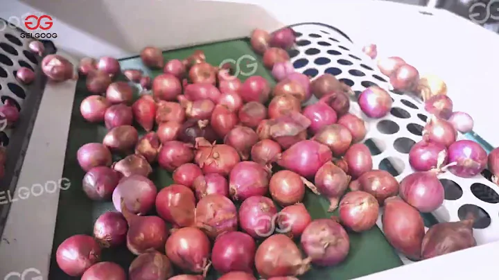 Onion Grading Sorting Processing Machine
