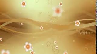 background flower loop HD 1920x1080