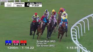 Vidéo de la course PMU PRIX FITZGERALD (2018)