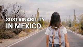 Sustainable lifestyles in Mexico Net Worth