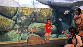 Sea Aquarium Singapore Part 4