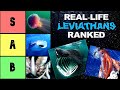 Ranking reallife leviathans based on how terrifying they are