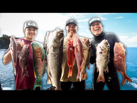 Best DEEP REEF SPEARFISHING Day Ever!