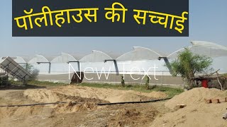 पाॅलीहाउस की सच्चाई / POLYHOUSE PROFIT & LOSS / poly house greenhouse farming