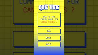 The Fascinating World Of Canis Lupus Wolves In The Wild