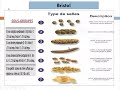 Gastro 39syndrome de lintestin irritable sii