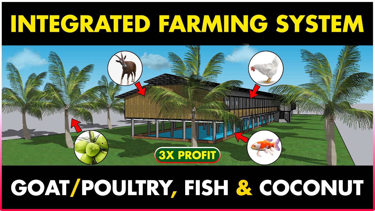 goatfish-spotted-goat-fish-sea-stuff