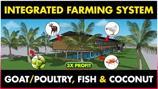Integrated Goat-Fish/Poultry-Fish and Coconut Farming | Coconut, Fish & Goat-Chicken Farm Together