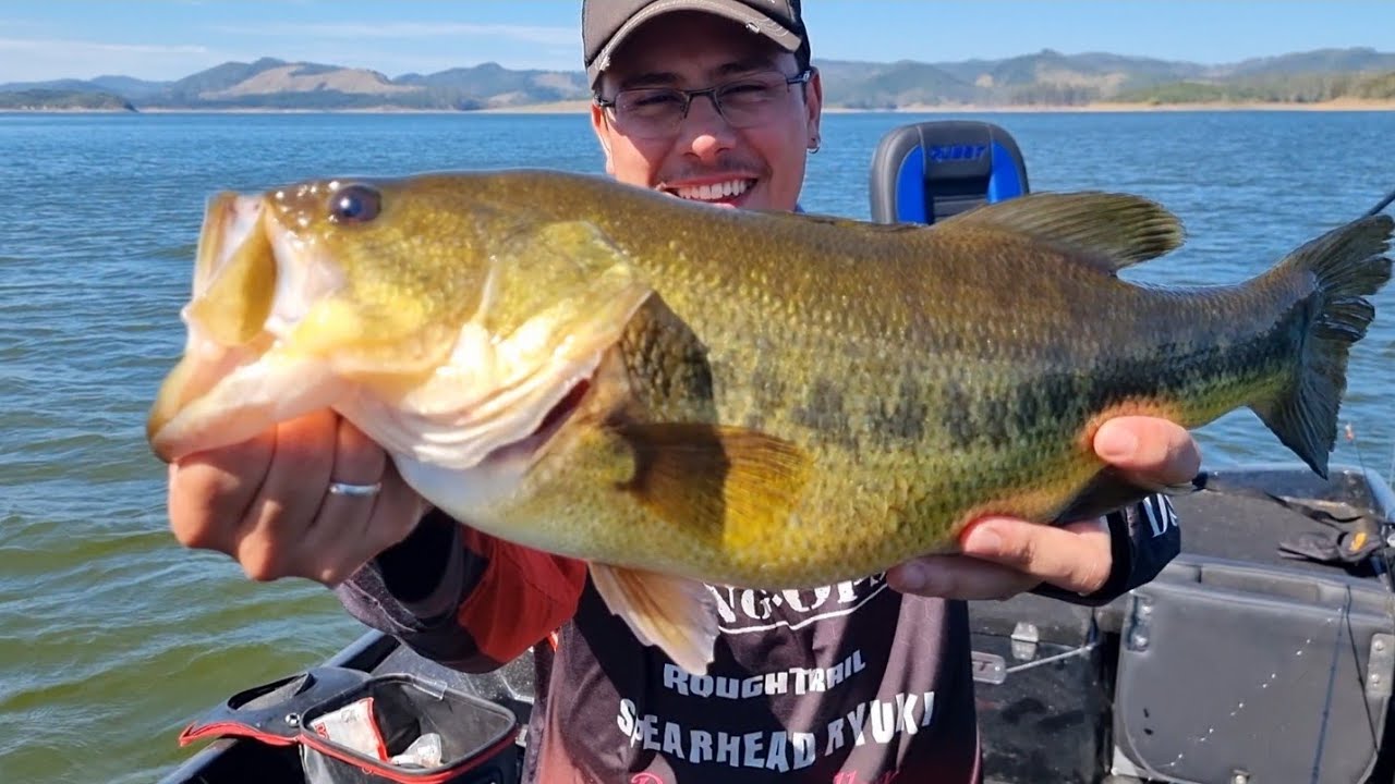Pescaria insana de black bass  06/08/2026