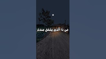 آية الكرسي بصوت القارئ الشيخ د.هاشم ابو دلال