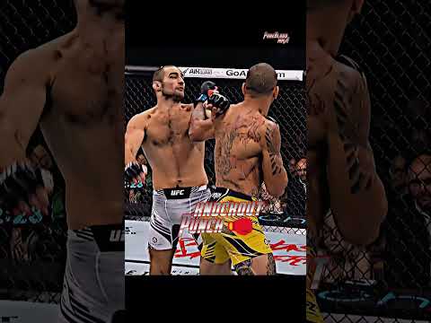 Alex Pereira Destroys