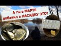 Таблетка для рыбалки  ВЕСЕННИЙ ЖОР. В Марте вся рыба это обожает. карась карп лещ плотва