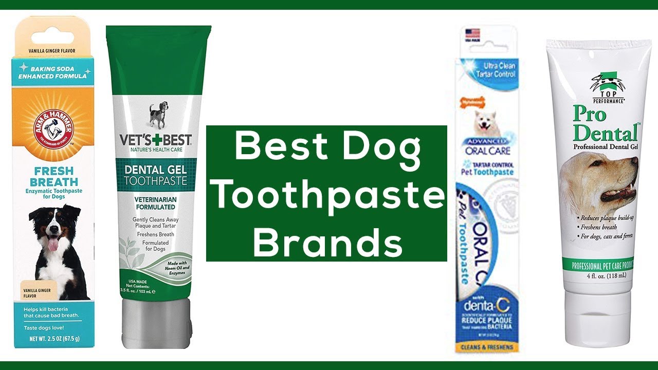 best toothpaste for dogs with bad breath