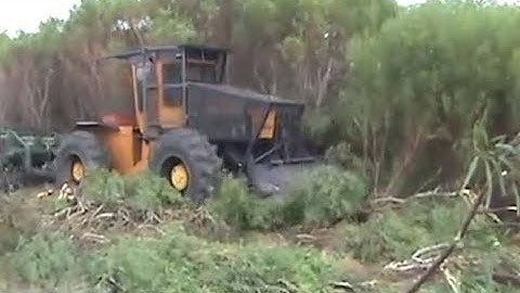 Tractor Pushing, Forest Tree and Clearing