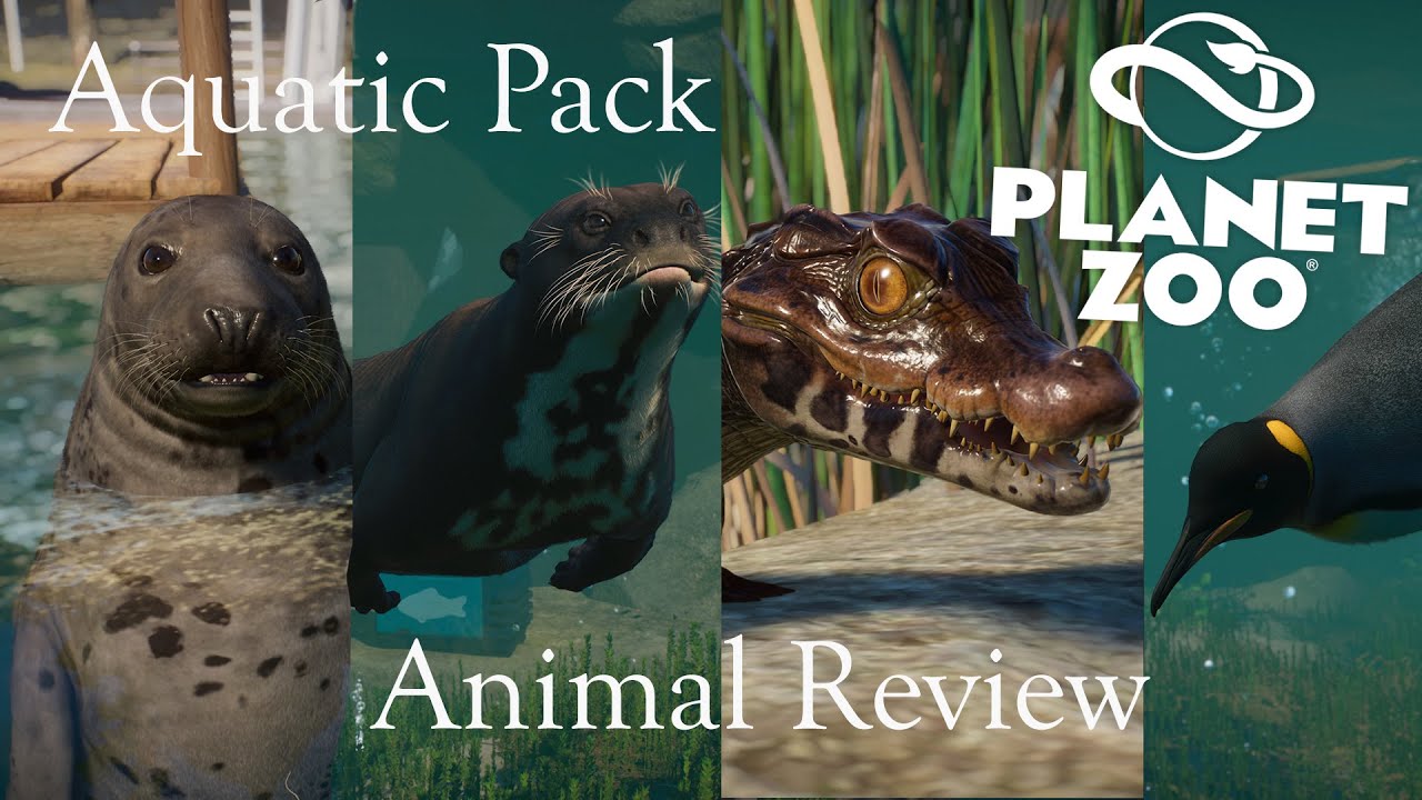 Animals review. Planet Zoo: Aquatic Pack. Planet Zoo зоопедия. Planet Zoo Otter. Planet Zoo Wetlands.