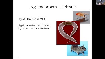 Can we live forever? Professor João Pedro de Magalhães on Aging