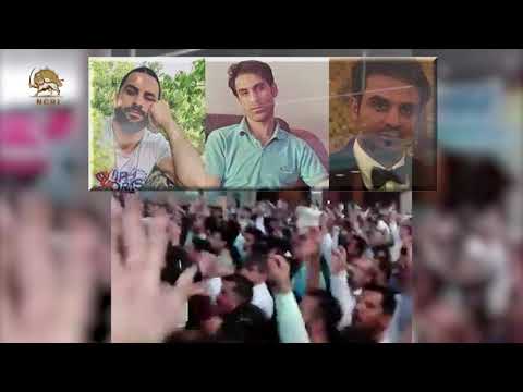 Urgent action to condemn the execution and imprisonment of Afkari brothers in Iran