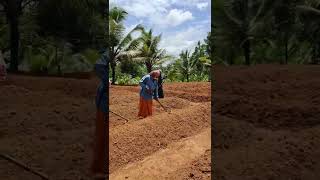 JSA / 1608010005/LD/453766